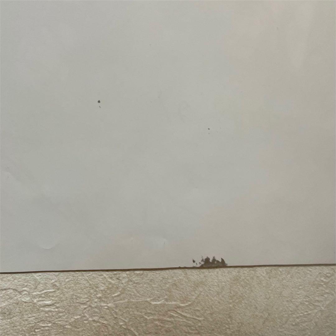 THERAMPAGE メンバー全員 直筆サイン - メルカリ