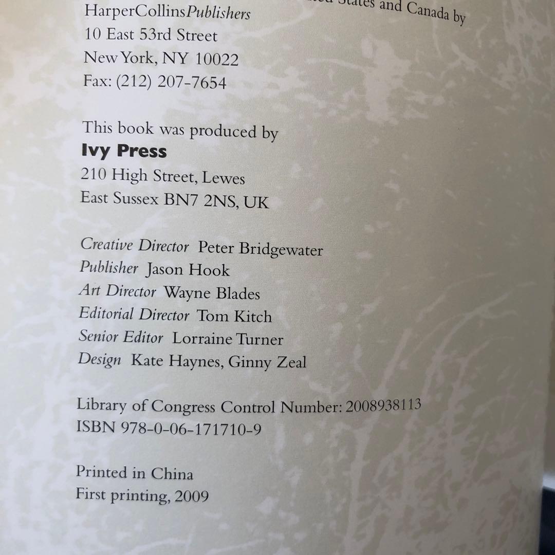 ロジャー・ディーン Magnetic Storm 洋書 - メルカリ