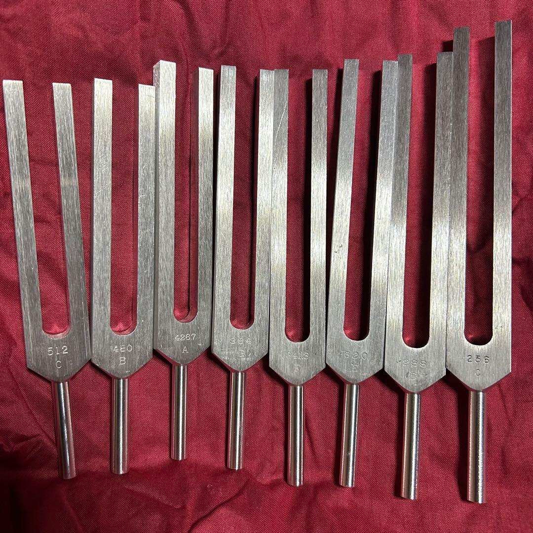 BIOSONICSソーラーハーモニックチューナー 8本チャクラ対応 - メルカリ