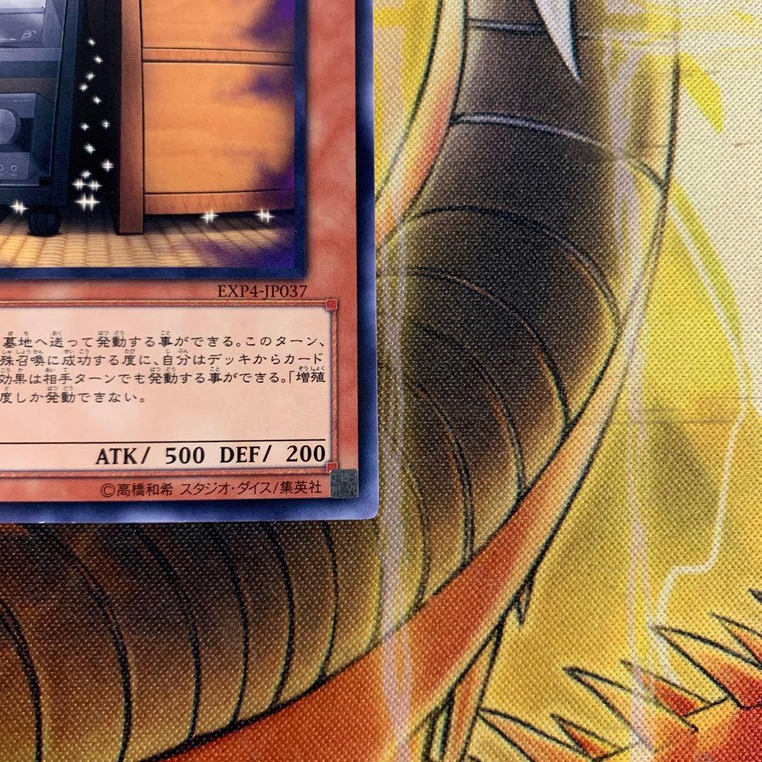 遊戯王 増殖するG 初版 EXP4－JP037 ノーレア ノーマルレア