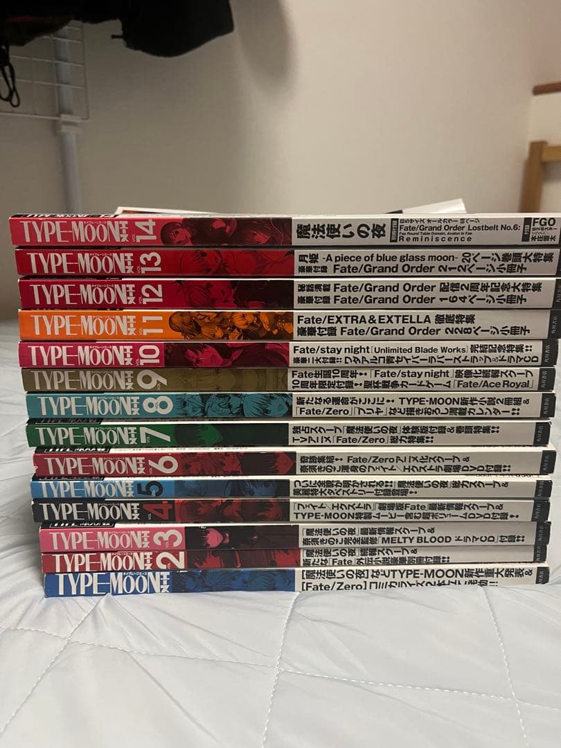 タイプムーンエース　1〜14 TYPE-MOON (タイプムーン) エース 2014 (発売日2014年01月30日) | 雑誌