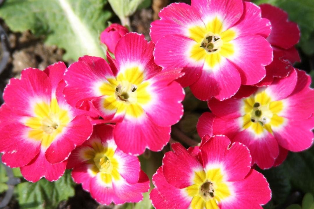 キヤノン　CANON EF 28-200mm f/3.5-5.6 USM ズーム