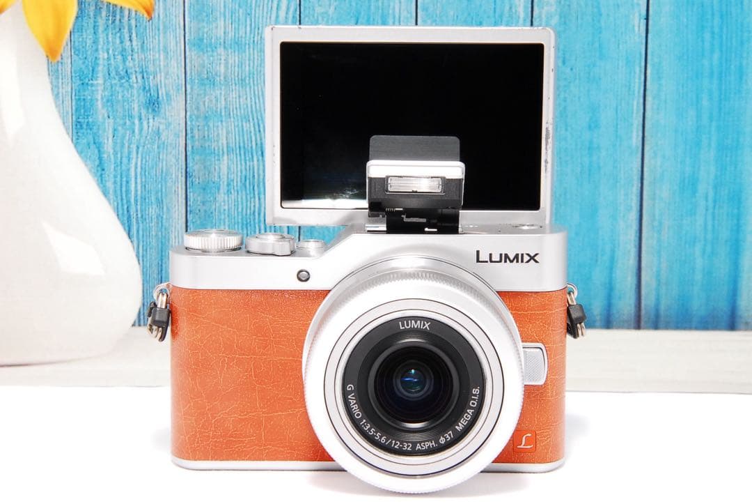 ショット数611回】LUMIX GF9 SNS Wi-Fi チルト ミラーレス - メルカリ