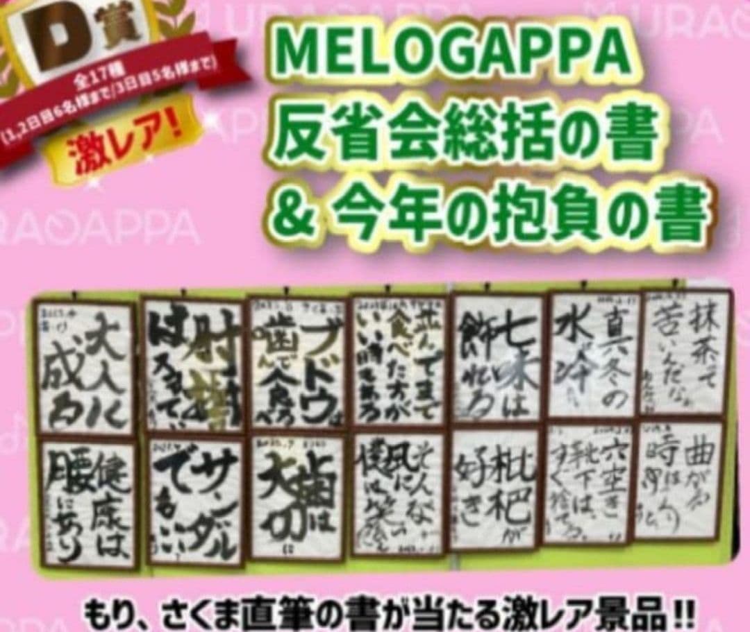 ★15日までの限定価格★MELOGAPPA 反省会総括の書&今年の抱負の書