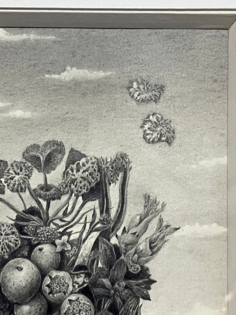 世界に一品 鉛筆画の異才 河内良介作品「薬草採集」 - メルカリ