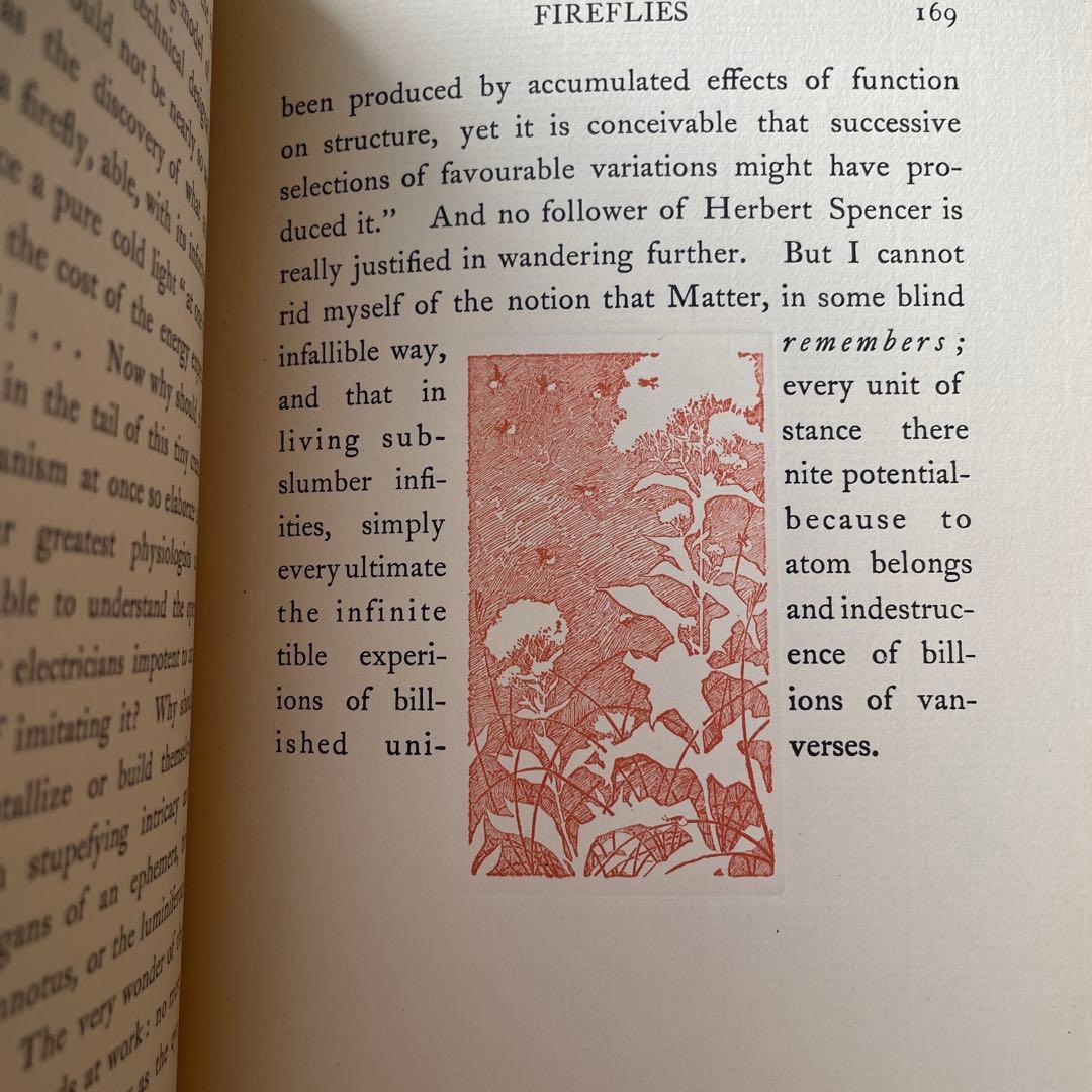 ラフカディオ ハーン 骨董 Kotto Lafcadio Hearn 古書 洋書 - メルカリ