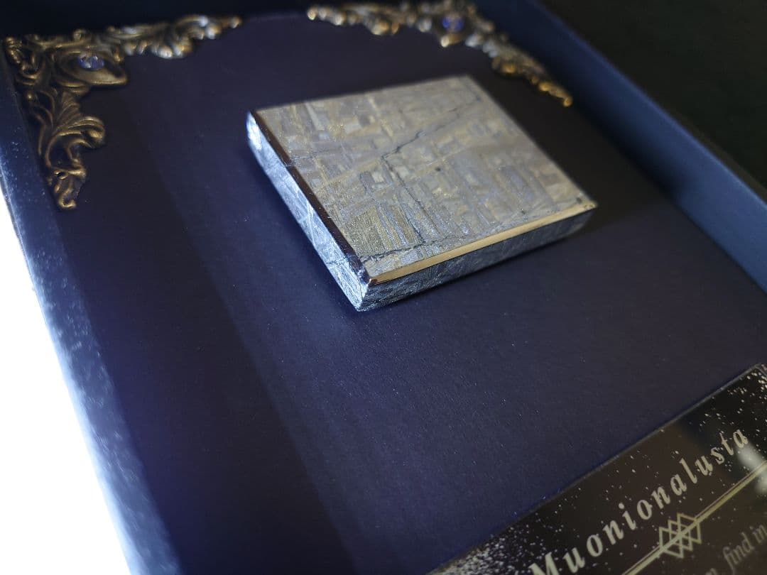 隕石絵画 ムオニオナルスタ隕石 133g鉄隕石【検索ワード ギベオン