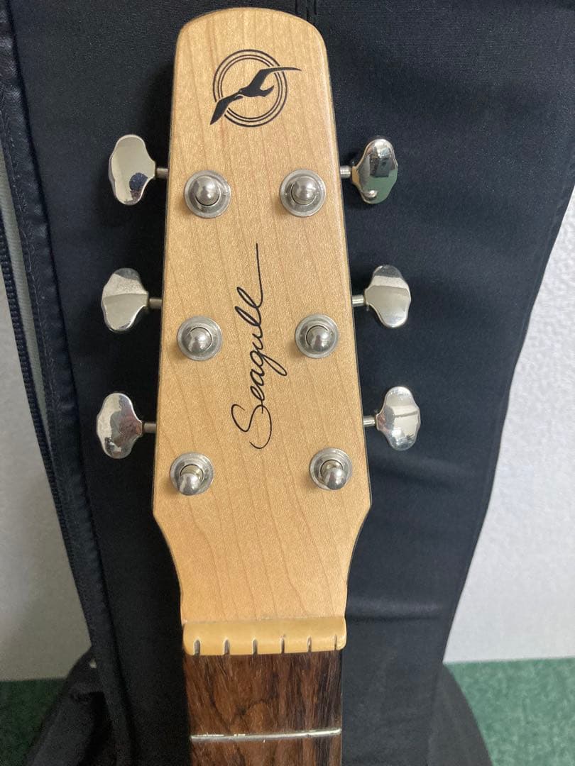 seagull amber trail cw folk sg eq アコギ