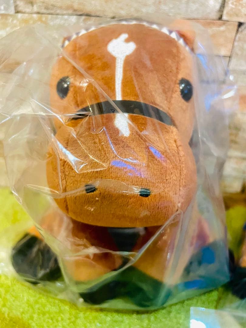 【にぁ4点ドウデュースセット】　※￼他の方は購入なさらないでください‼️