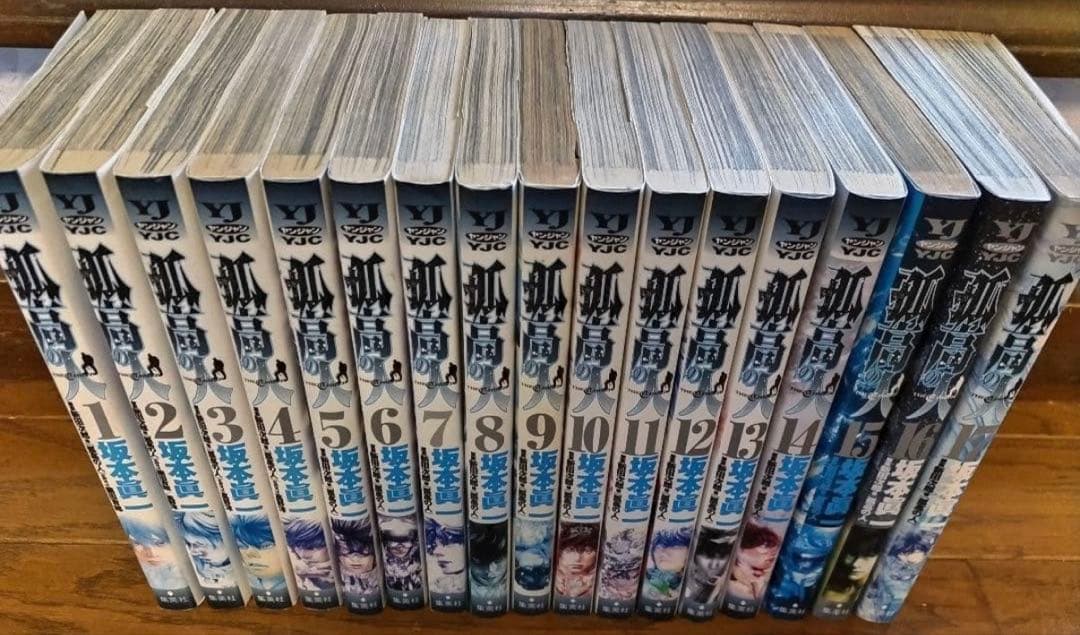 孤高の人 全17巻セット 最安値 - メルカリ