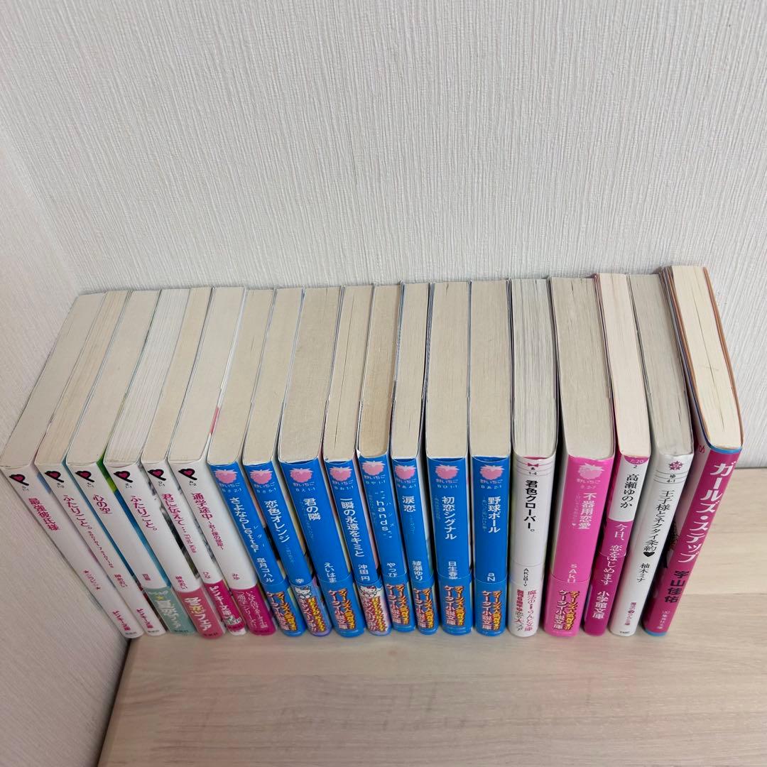 ケータイ小説まとめ売り 19冊｜野いちご文庫 ピンキー文庫 他｜学生