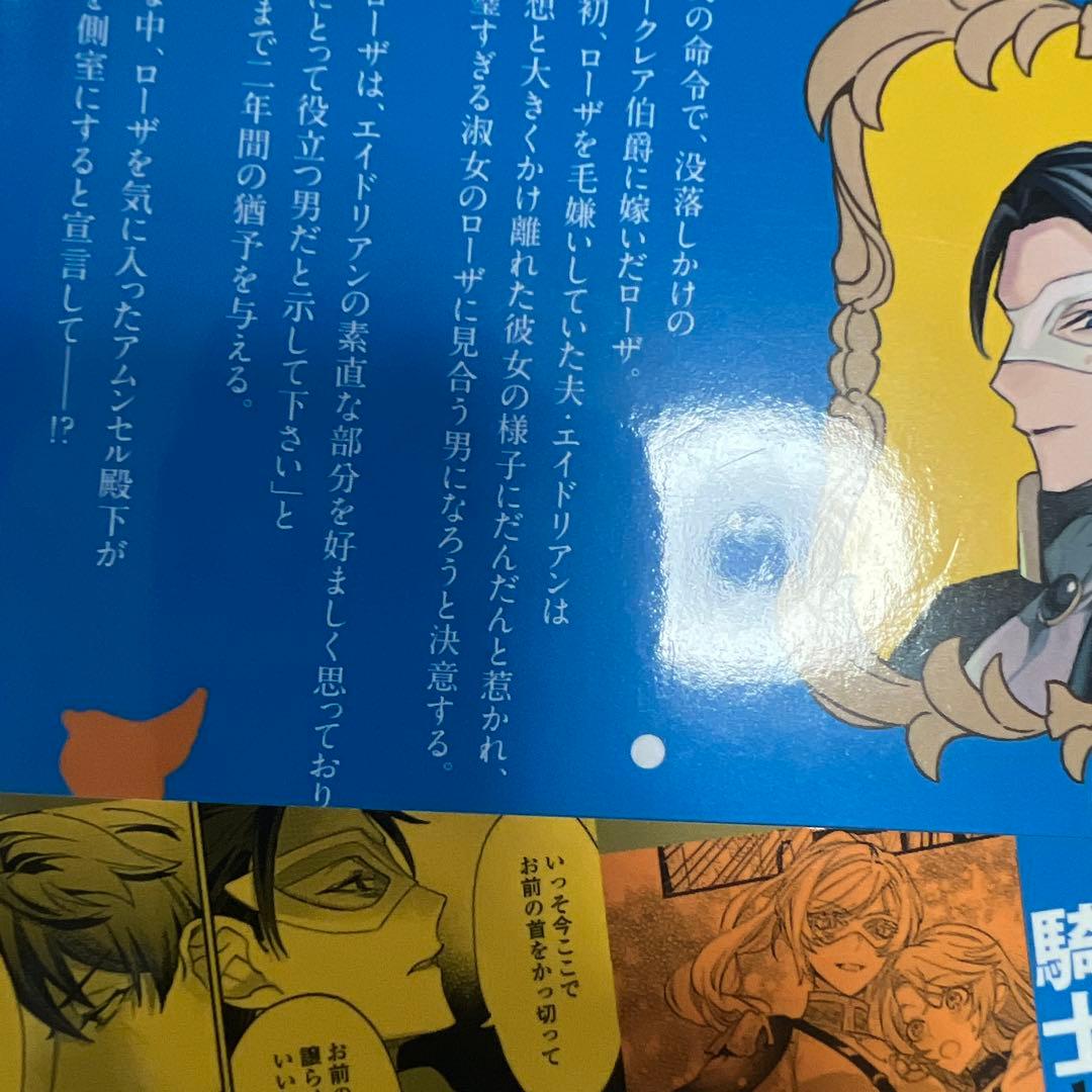 華麗に離縁してみせますわ!