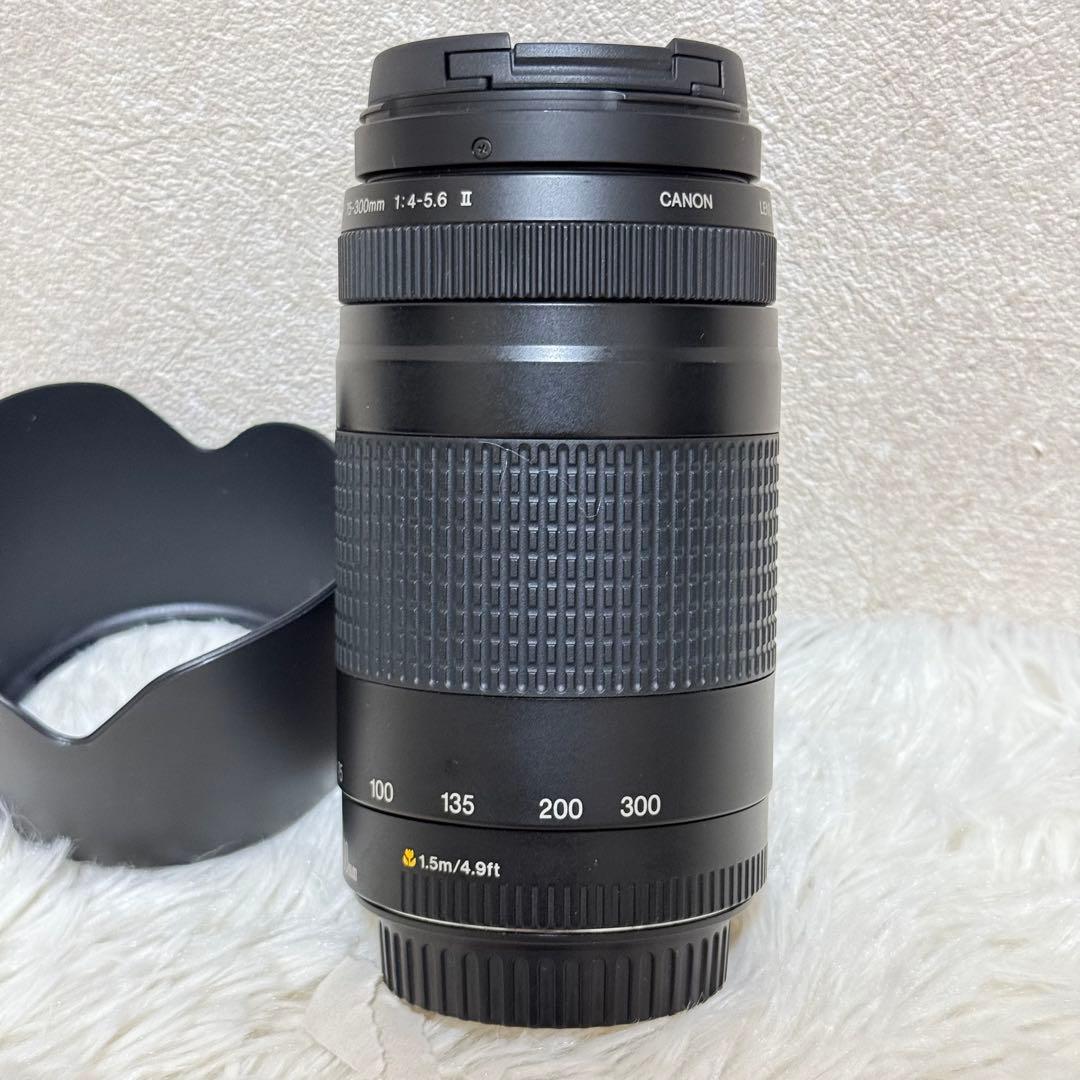 ⭐️完動品⭐️キャノン Canon EF 75-300mm F/4-5.6 II