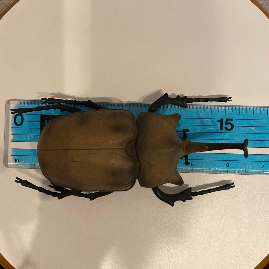 エレファスゾウカブト‪ フィギュア 昆虫標本 約16cm、105g - メルカリ‬