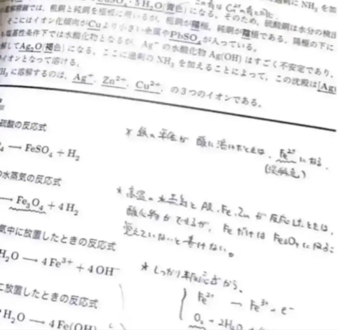 医学部受験 鉄緑会 化学 無機化学まとめ要点集 河合塾 駿台 - メルカリ