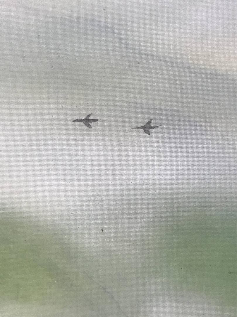 真作】坂下ショウ/山湖鴛鴦図/オシドリ図/横物/掛軸/名家伝来/AD-