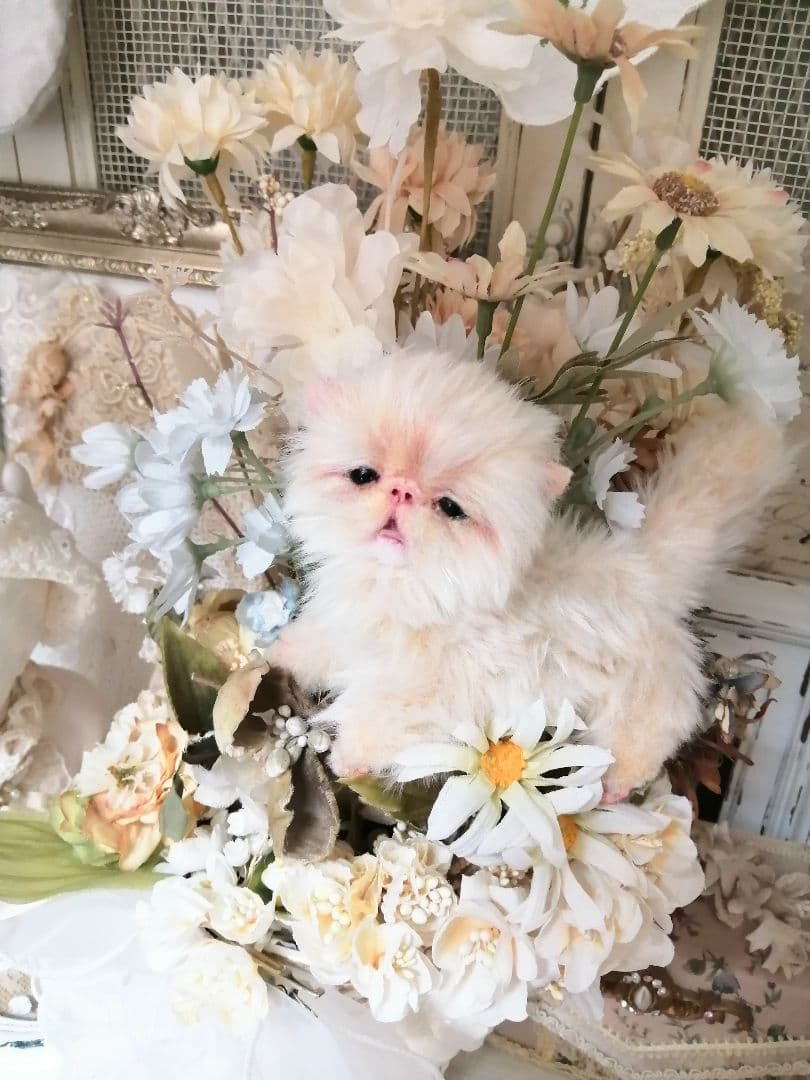 ふにゃっくた♡ベビサイズ♡子猫ちゃん♡アートドール♡ぬいぐるみ♡
