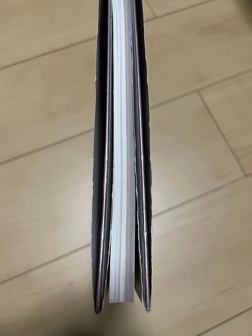 直筆サイン入り メイリア 写真集 GARNiDELiA MARiA - メルカリ