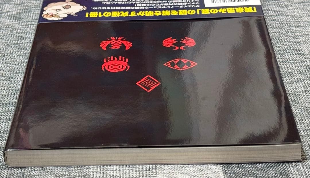 【美品・初版・厳重な梱包・匿名配送】レイジングループ完全読本