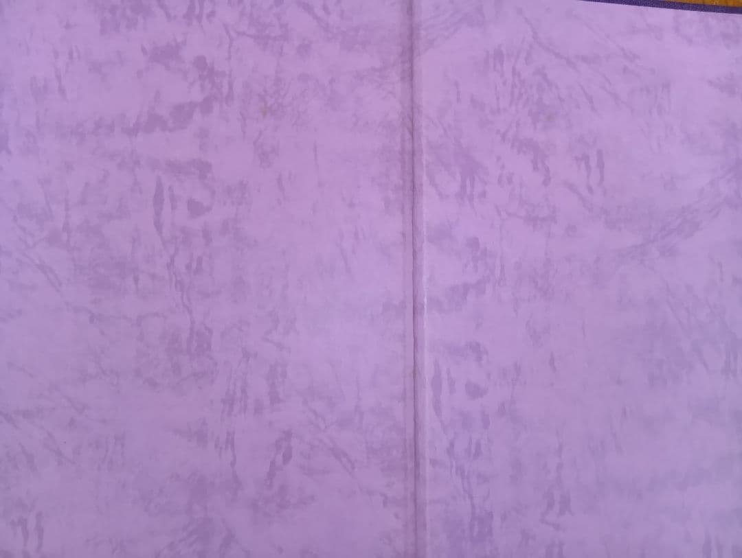 夢艶肌絵 （入墨/刺青をした女性の写真集）竹書房 - メルカリ