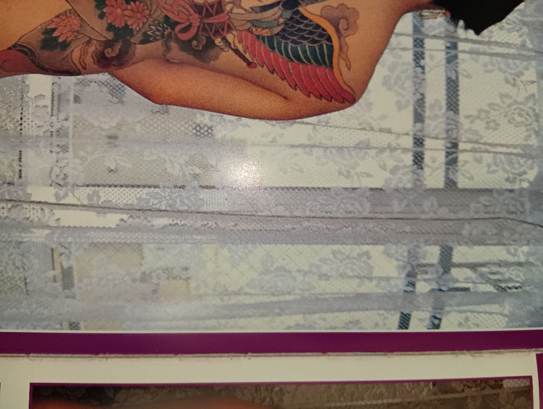 夢艶肌絵　（入墨/刺青をした女性の写真集）竹書房