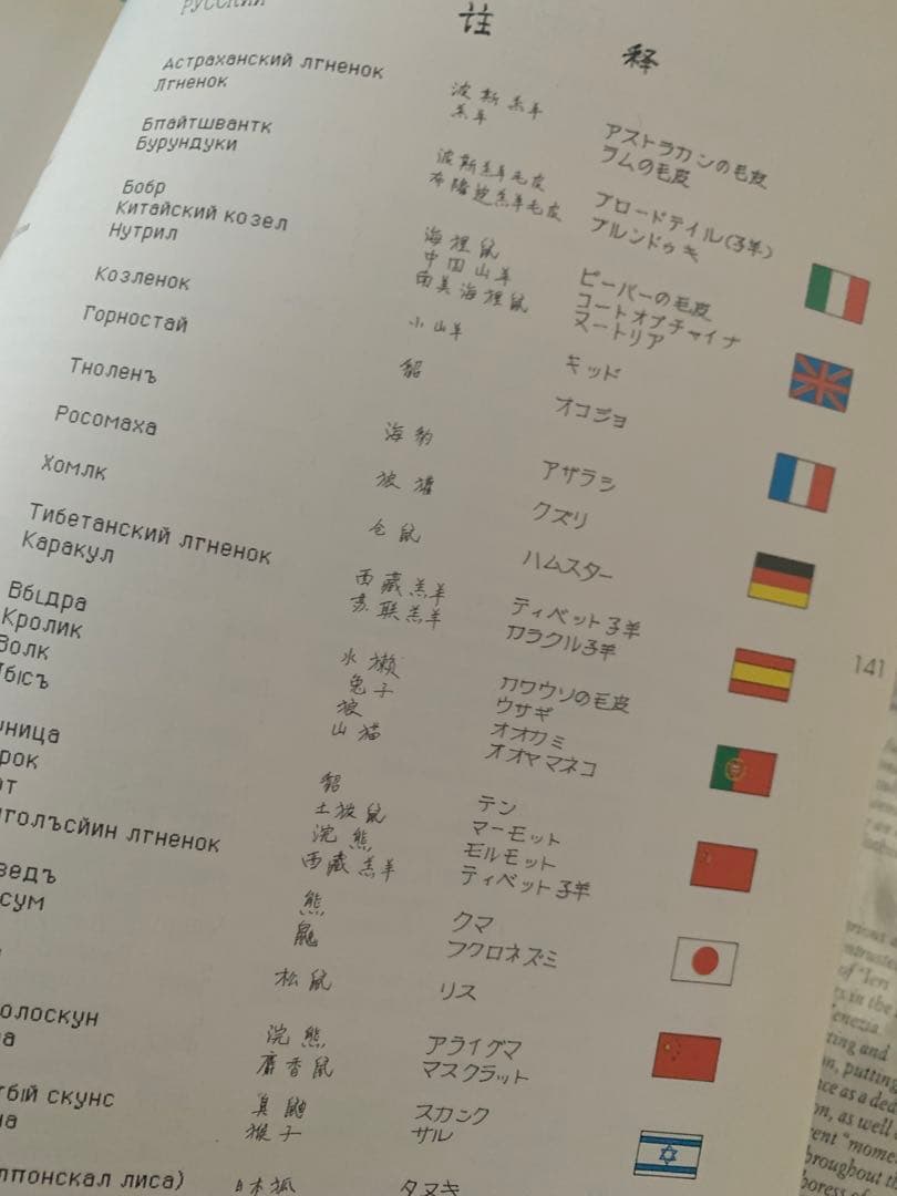 Furs for Men by Anna Municchi 【希少 激レア】