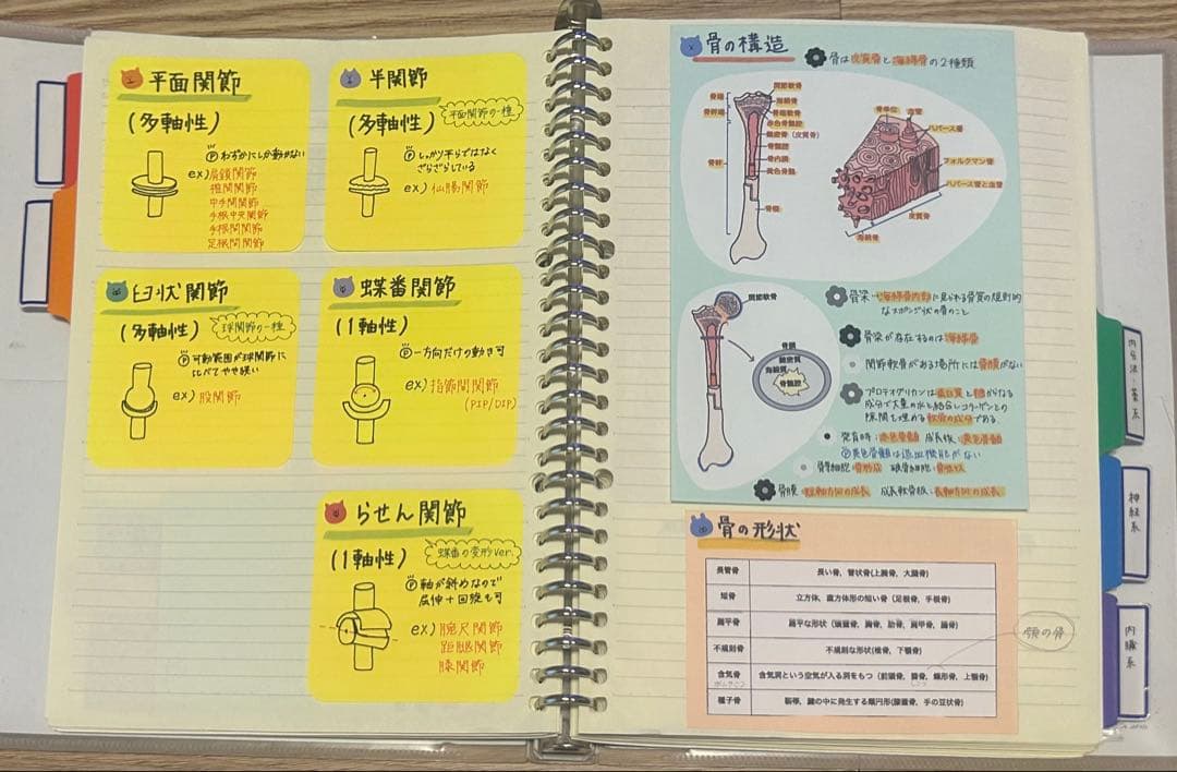 理学療法士 作業療法士 まとめノート、ふせんノート 【コピー】 - メルカリ