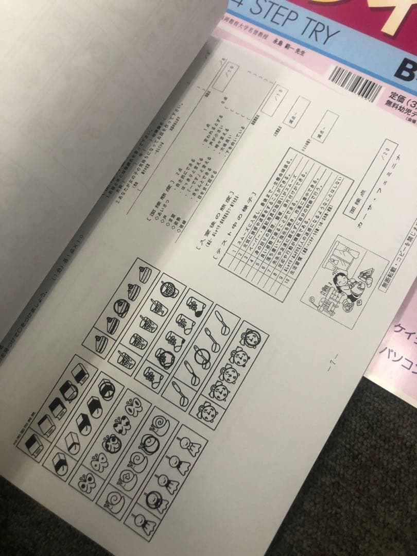 カーサフェミニナ 小学校受験 幼児テスト トライB1〜12 書き込み/解答無
