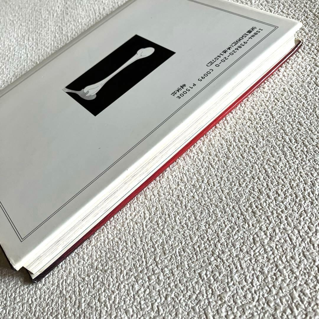 思春期と不能の愛の実験 成田朱希　初版本　北宋社