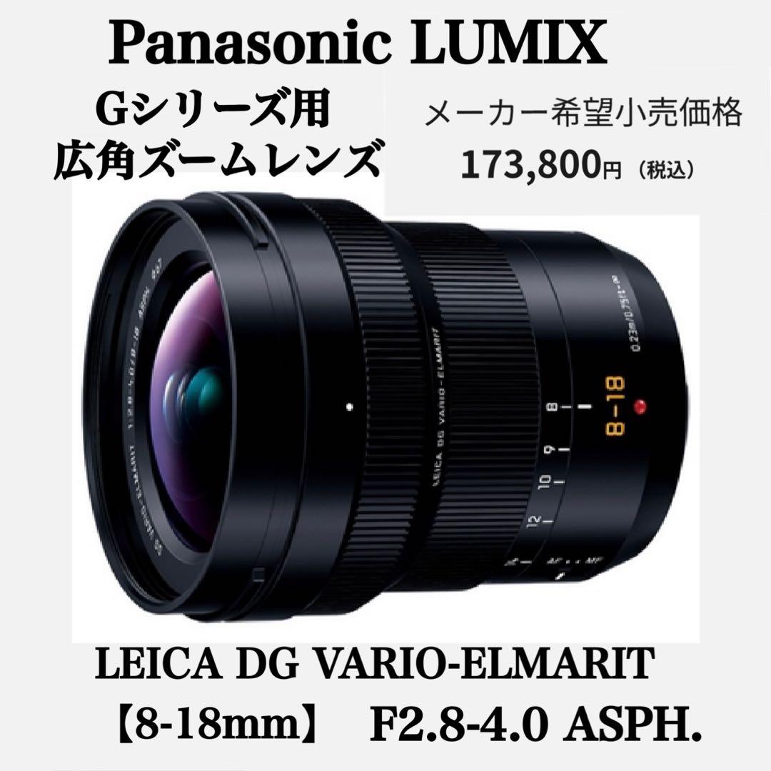 【極美品】LUMIX VARIO ELMARIT 8-18mm F2.8-4.0