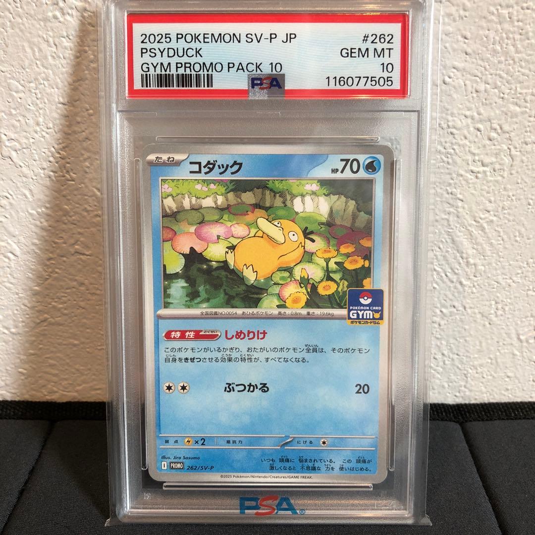 PSA10】コダック ジムプロモ