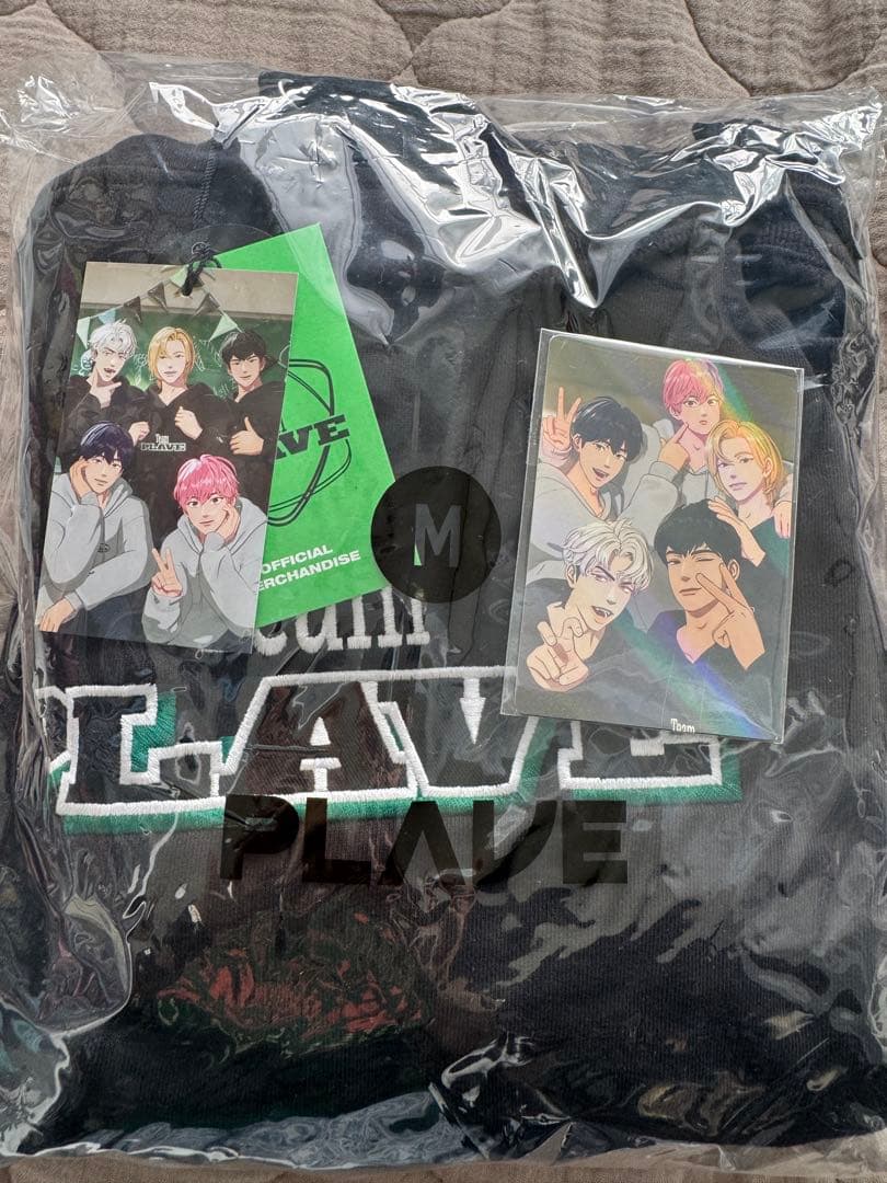 TEAM PLAVE HOODIE 黒 Mサイズ プルオーバーパーカー - メルカリ