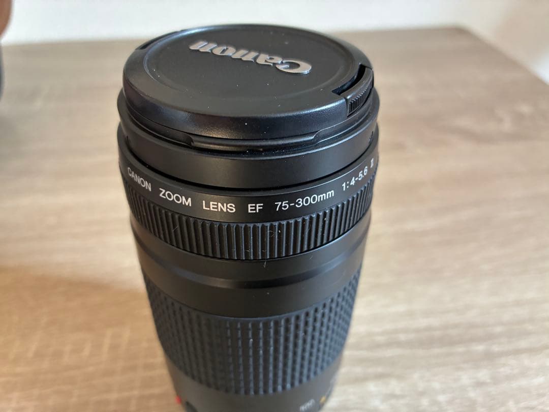 Canon EF 75-300mm f/4-5.6 Ⅱ ズームレンズ