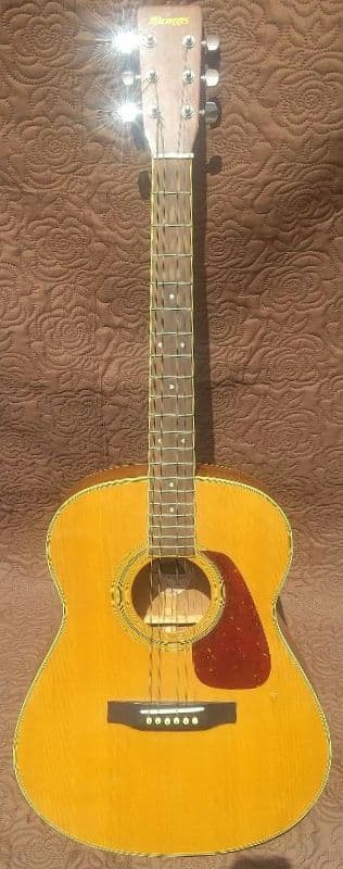 モーリス Morris MF-251N アコースティックギター - メルカリ