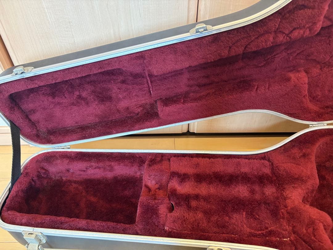 値下げしました】Taylor (テイラー) 純正ハードケース / GAサイズ用