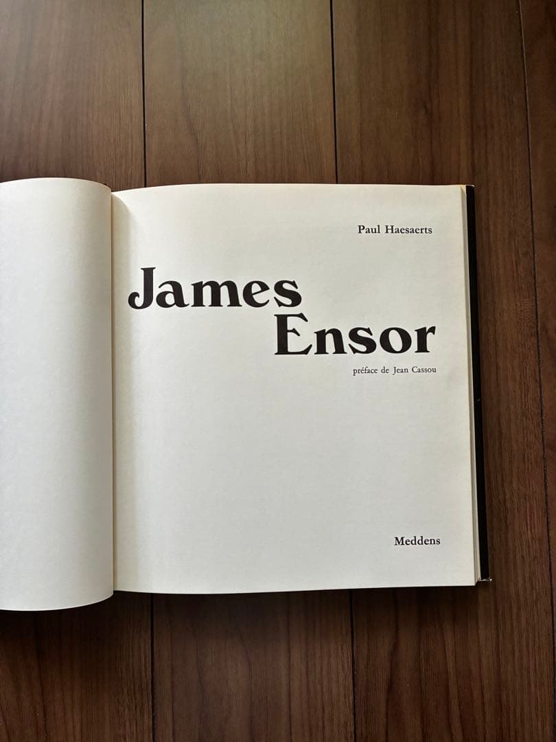 James Ensor by Paul Haesaerts アンソール画集 - メルカリ