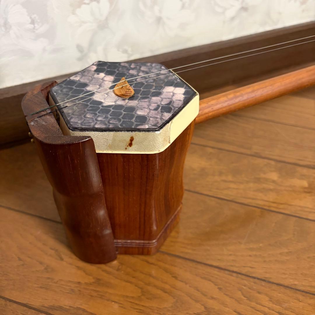 弦楽器 ニ胡 NK170 ケース付き - 弦楽器オンライン ショップ 安い