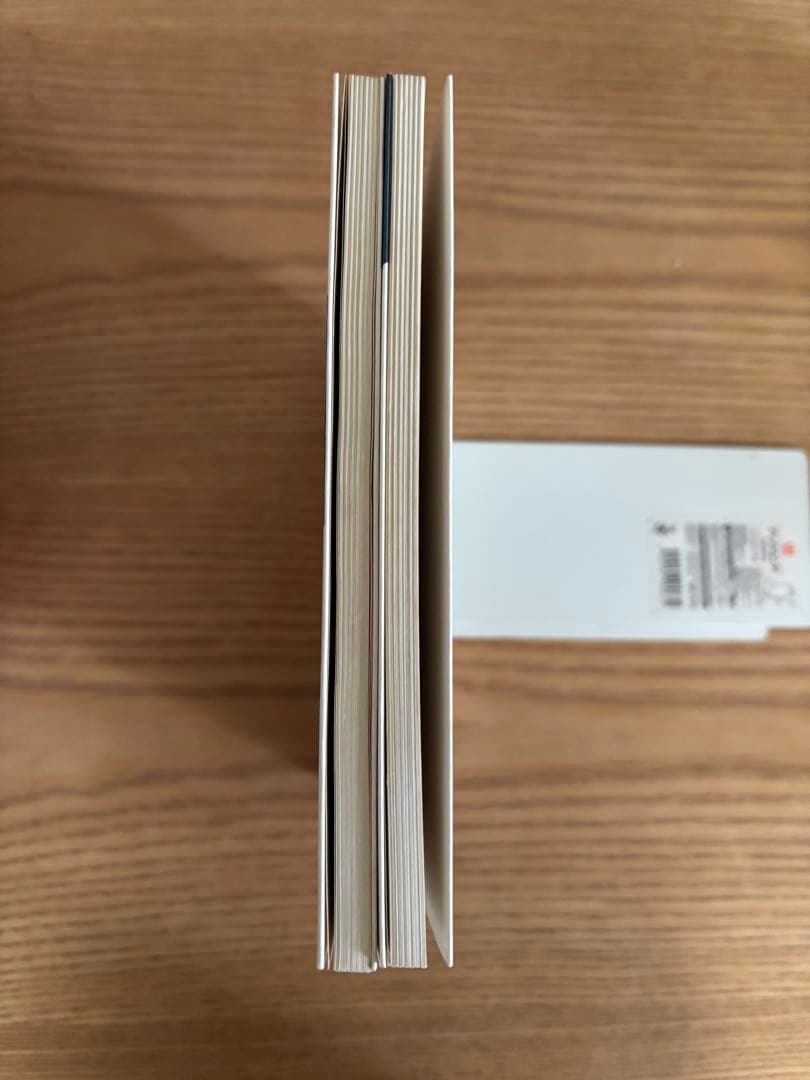 ダーティーペア写真集SEXY TWO