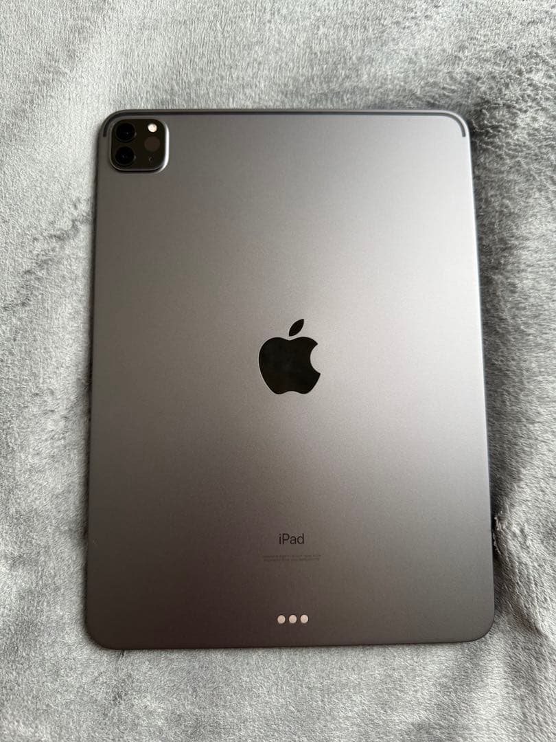 iPad Pro 11インチ 第2世代 スペースグレー 本体 128GB iPad Pro 11インチ 第2世代 128GB スペースグレイ MY232J／A Wi-Fi