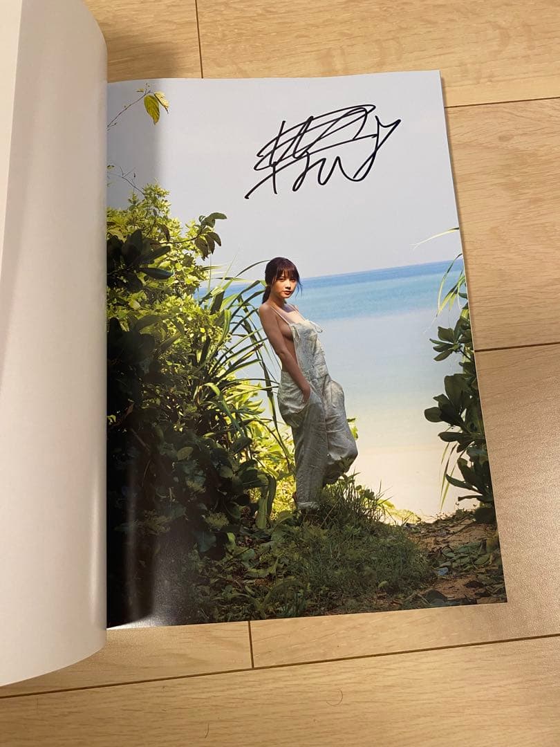 桃月なしこ写真集 「未完」「武装なしこ」サイン入り他セット