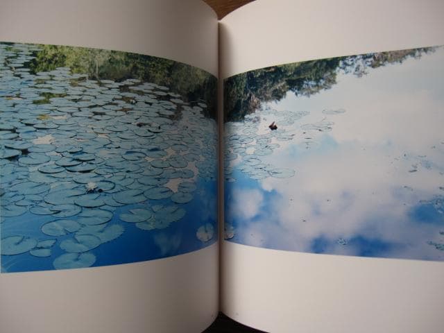 意識の流れ Stream of consciousness 鈴木理策 チラシ付き - メルカリ