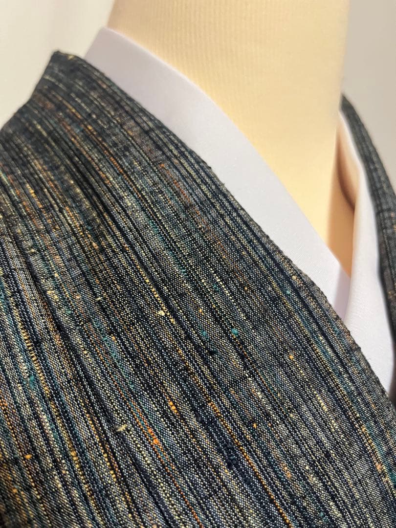 ☘️国宝品☘️【幻の紬】○岐阜県無形文化財【郡上紬】○草木染○本