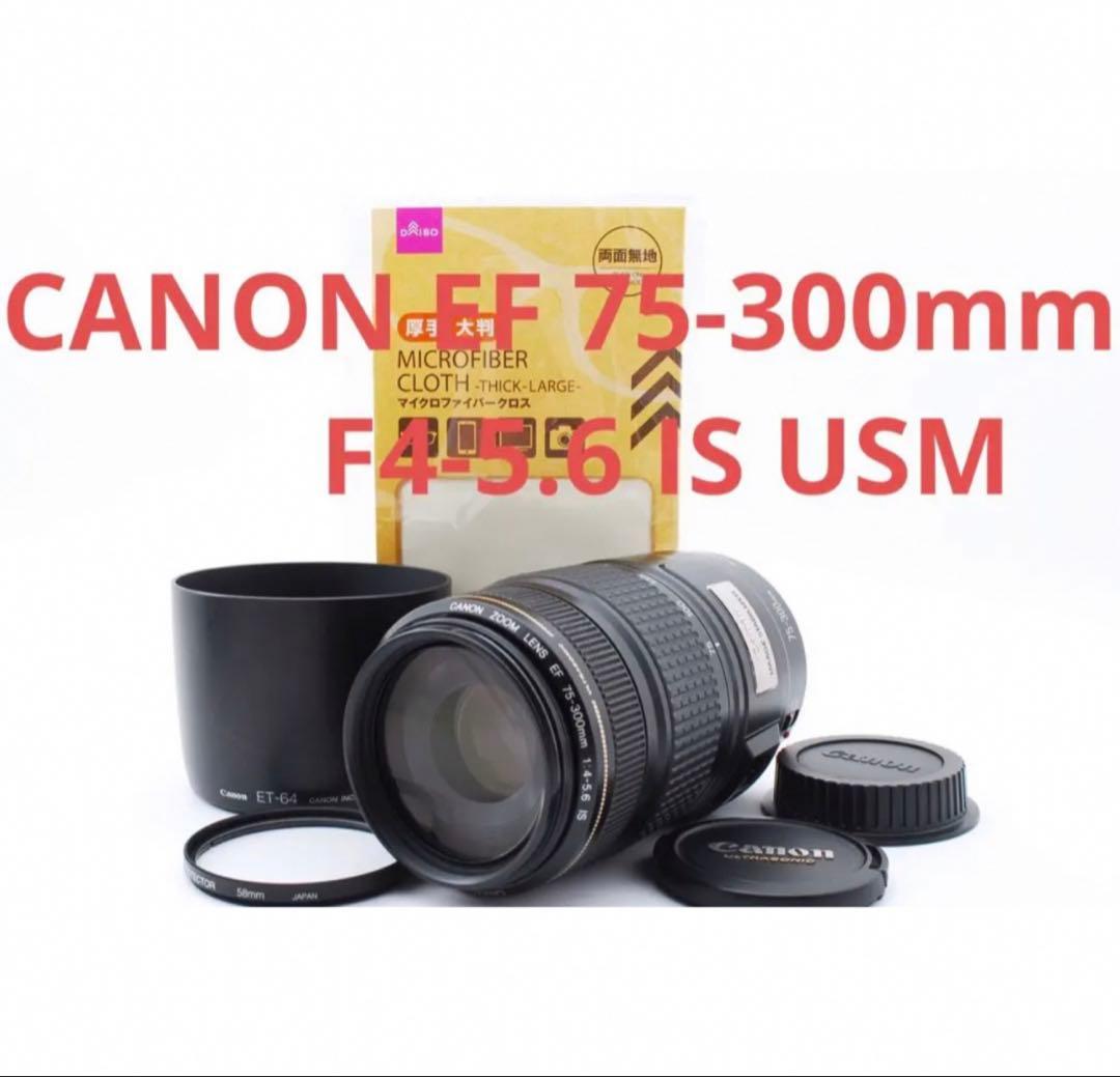 美品/手ブレ補正搭載CANON EF 75-300㎜ F4-5.6 IS USM