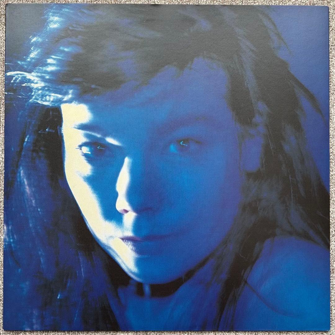 BJORKビョークTELEGRAM レコード 荒木経惟 - メルカリ