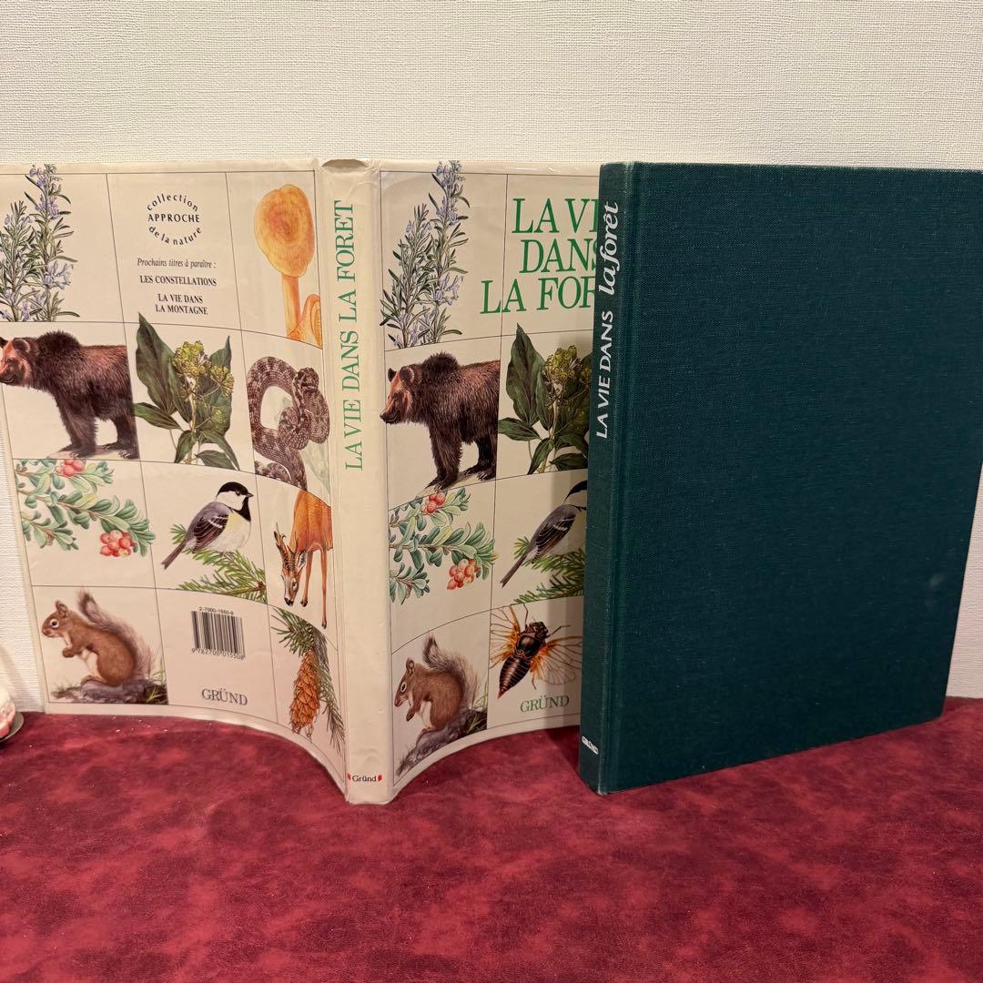 223⑦1988年フランス語版図鑑 洋書古書 ジャンクジャーナル ボタン