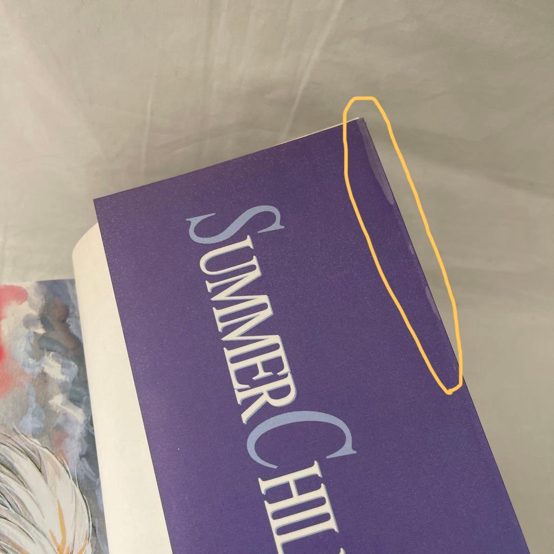 SUMMER CHILDREN サマーチルドレン エヴァンゲリオン　マンガ