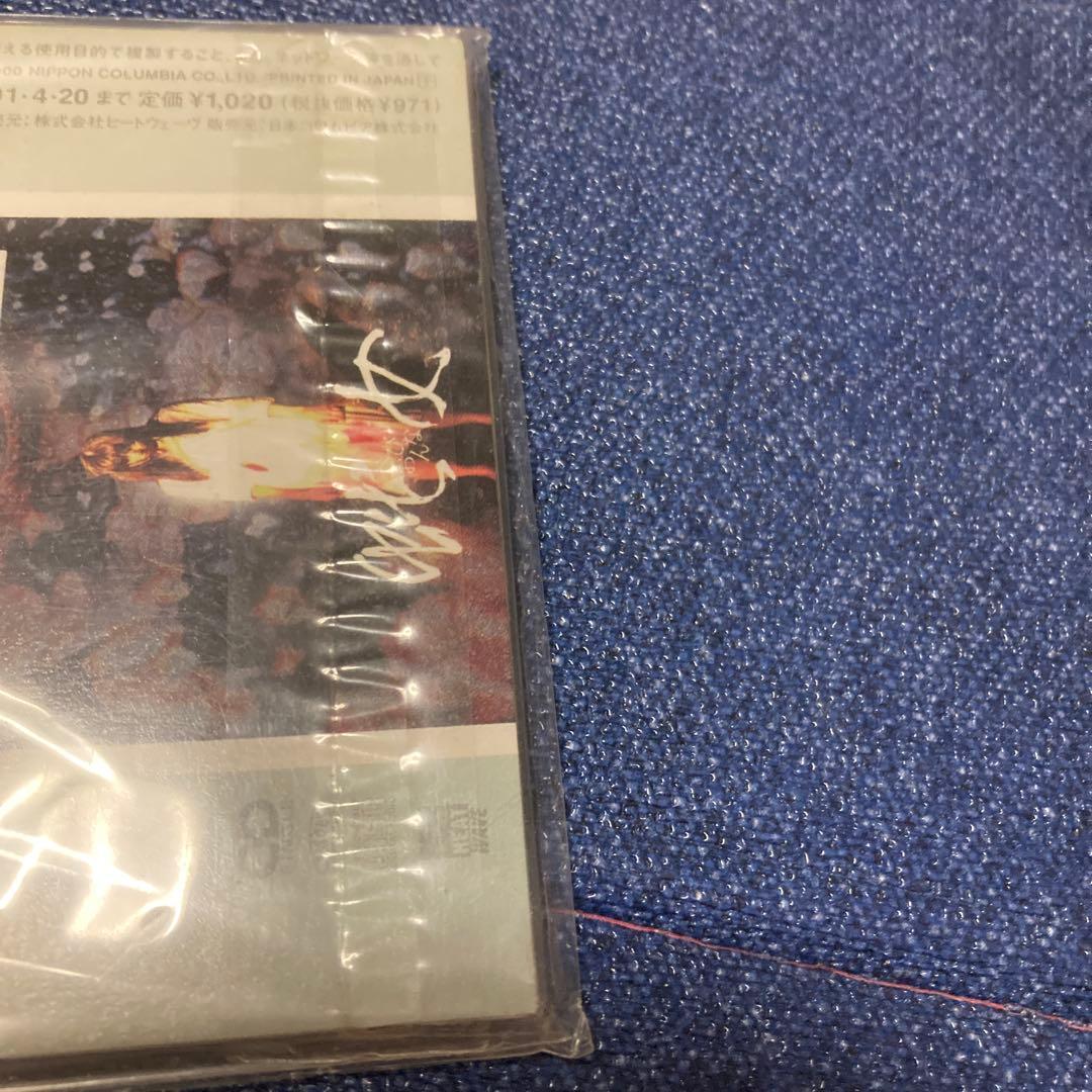 佐伯日菜子　.冷たい月を抱く女　8センチ8cmシングル邦楽CD 東映映画「蛇女」