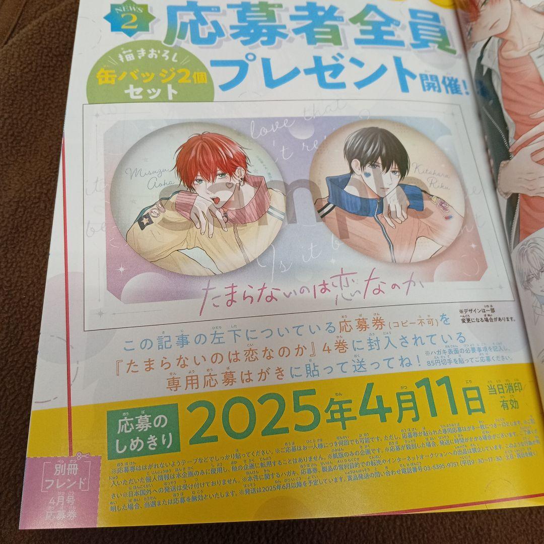 たまらないのは恋なのか4 描き下ろし缶バッジ2個セット 応募ハガキ