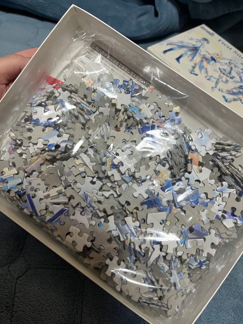 スカイタウン限定 First Snow 雪ミク 初音ミク パズル