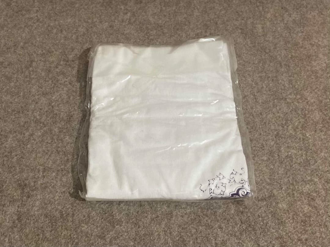 サイン入り】ROVO 日比谷野音 DVD Tシャツ BOX 勝井祐二 山本精一